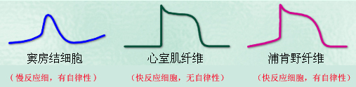 2014o֪Ro(do)ļW(xu)