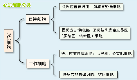 2014o֪Ro(do)ļW(xu)