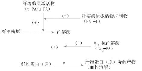 2021R(zh)I(y)t(y)ԇW(xu)(f)(x)֪Rc(6)