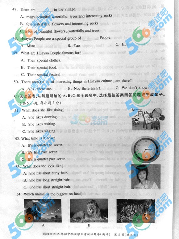 2015年湖南省邵陽中考英語試題