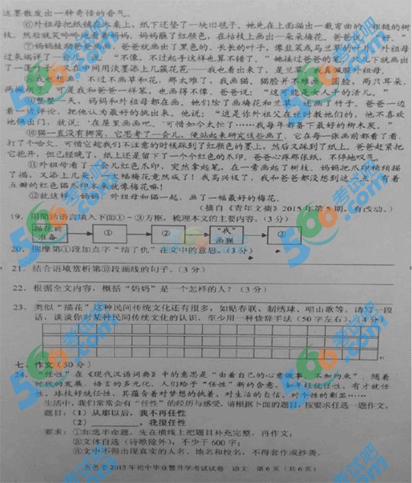 2015年廣西百色中考語(yǔ)文試題