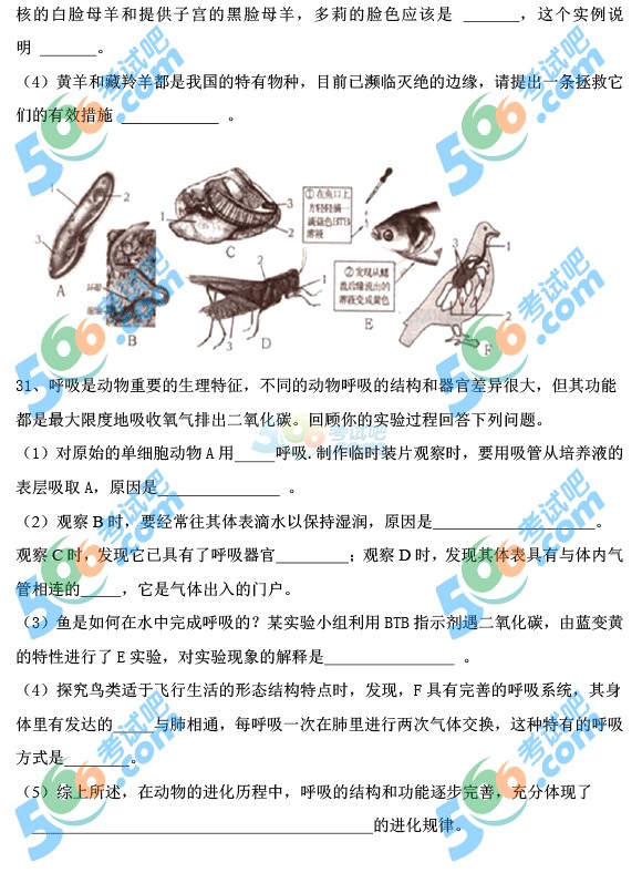 2015年山東煙臺(tái)中考生物試題及答案