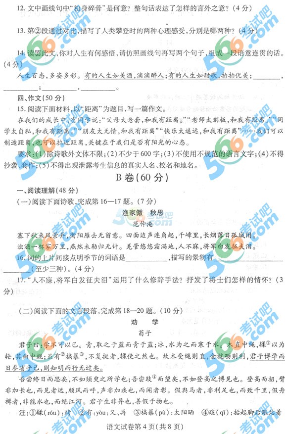 2015年四川內(nèi)江中考語(yǔ)文試題